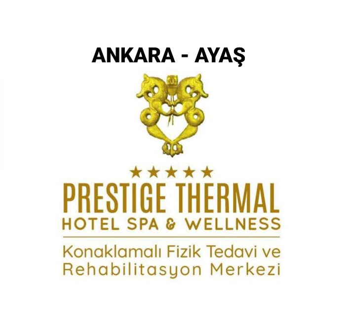 ZİRKON TURİZM  SEYAHAT GIDA SAN. TİCARET AŞ. PRESTİGE THERMAL HOTEL& SPA WELLNESS KONAKLAMALI FİZİK TEDAVİ VE REHABİLİTASYON MERKEZİ